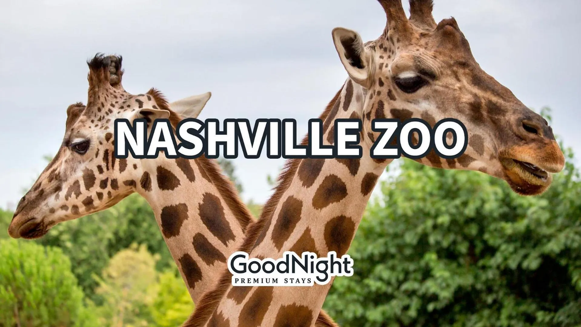 Hébergement de vacances Cowboy Condo - Odyssey - Heart Of Midtown Nashville